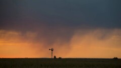 Қарағандыдағы дүлей дауыл салдарын жою үшін төтенше жағдай жарияланады