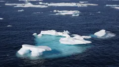 Арктикада мұз жамылғысы жоқ алғашқы күн 2030 жылға қарай болуы мүмкін – Гётеборг университеті