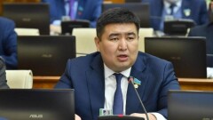 Мәжіліс депутаты: "Бақытты отбасыдан" жетімдер мен мүгедектер сырт қалып қойды
