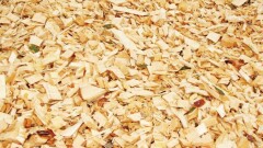 Ағаш үгіндісінен – аккумулятор. Отандық өндірісті дамытуға не қажет?