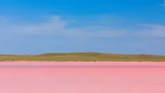 Көбейтұз ерекше қорғалатын аумақ мәртебесін алып, "Бұйратау" табиғи паркіне кіреді