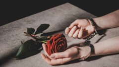Садыр Жапаровтың "күйеу баласы" болғысы келген Сабырбеков жайлы жаңа деректер белгілі болды