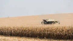 Қазақстанның астық консорциумы: "Зеренді-Астық" биыл рекордты өнім жинады