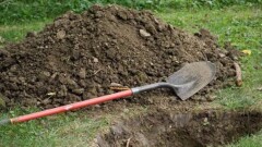 Ерейментауда итін зират маңына жерлеген азаматқа айыппұл салынады