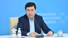 Мәжіліс төрағасы "Жаңа Конституция асығыс дайындалды" деген пікірге жауап берді