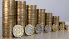 Экономист бизнесті субсидиялаудан не үшін бас тарту керегін түсіндірді