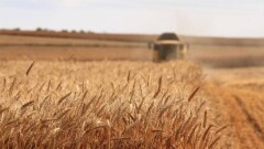 Ауыл шаруашылығы саласында субсидиялаудың жаңа ақпараттық жүйесі 1 шілдеде іске қосылады