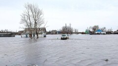 Депутаттар су тасқынынан зардап шеккен шаруалардың несиесін 3 жылға шегеруді сұрады