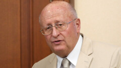 Ресейлік микробиолог: "Коронавирус келесі кезеңде үй жануарларына жұғуы мүмкін"