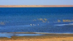 30 жыл су келмеген Қамбаш пен Ақшатау көлдері суға толды