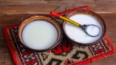 Камелчино, балмұздақ және конфитюр. Қазақстанда түйе сүтіне арналған стандарт әзірленді   