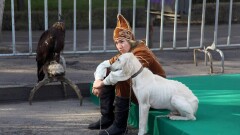Қазақстанда қандай жануарларды спорт жарыстарына қатыстыруға болады?