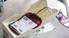 Жыл басынан бері донор кезегіндегі 235 адам қайтыс болды