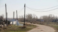 Қазақстанда мектебі жоқ 1400-ге жуық ауылда 35 мыңға тарта оқушы тұрады