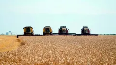 Қазақстанда астық элеваторларын салу және жаңғырту үшін несие беріледі