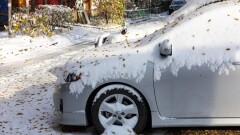 СҚО-да айыппұл тұрағындағы көліктер 500 мың теңге бастапқы бағамен сатылып жатыр