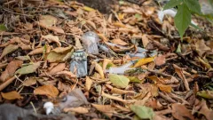 "Дала Қырандары" Павлодарда есірткі сатушыларға қарсы акция өткізді 