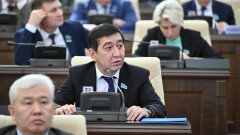 "Мүжілген сүйектей мүшкіл". Депутат Ринат Зайытов жабылу қаупі бар ауылдар мәселесін көтерді