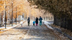 Үкімет қаулысы: Қазақстанда Аналар күні мен Әкелер күні мерекеленеді
