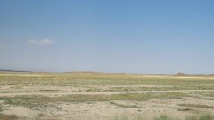 Жамбыл облысында "Бетпақдала" табиғи қаумалы құрылады
