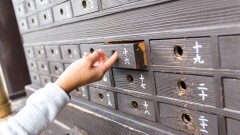 Тарихшы Қытай мұрағаттарындағы Қазақ хандығына қатысты мұралар туралы айтты
