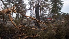 Қазақтелеком орман өрттерін ерте анықтау жүйесінің бірыңғай операторы болады