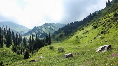 Іле Алатауы паркі аумағындағы мектеп оқушылары табиғат қорғау шараларына қатысады