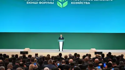 "Бірі ауылда жұмыс жоқ десе, бірі жұмысшы жетіспейді дейді". Президент маман тапшылығы туралы 