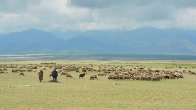 Алтын-Емел мен Шоқанның жолы. Туризм ауылдар тұрмысын қалай өзгертіп жатыр?