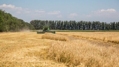 Шымкент шаруалары жер салығын шаршы метр емес, гектарға есептеуді сұрайды