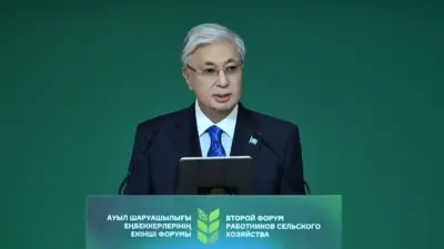 Ауыл шаруашылығына шетел инвесторларын тарту жұмысын тездету қажет – Тоқаев