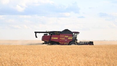 Шаруаларға 5 пайыздық несие: 2024 жылы Қазақстанда рекордтық 26,7 млн тонна астық жиналды