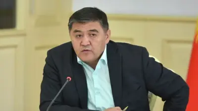 Қырғызстан ҰҚК экс-төрағасы Камчыбек Ташиев тергеу сұрақтарына жауап беру үшін елге оралды