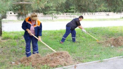 "Таза Қазақстан": Жетісу облысында 2 мың шақырымнан астам арық желісі тазартылды