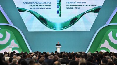 Тоқаев: Қала қазақтарының да тамыры – ауылда