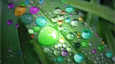 Ташкентте – "Түрлі түсті жаңбыр"