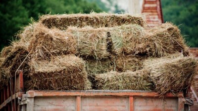 Алматы облысының азаматтары Маңғыстауға 25 вагон жем-шөп жөнелтеді