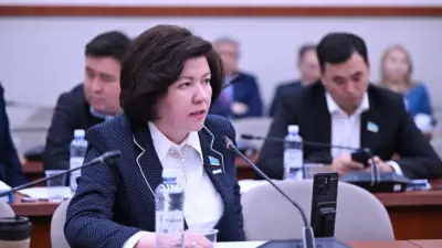 Жеке мектептерге мемлекеттік тапсырыс бөлуге қатысты мәселе шешілді – оқу министрі