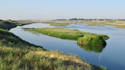 Сырдария өзені деңгейінің түсіп кетуінен аймақтағы 17 көл тартылды