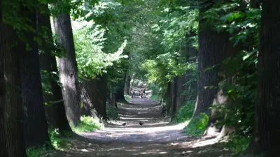 Баум тоғайында бірде-бір ағаш кесілмейді – Алматы әкімінің кеңесшісі