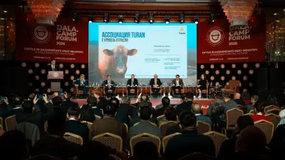 Қазақстан экспортқа бағытталған премиум санатты сиыр етін өндіруге басымдық береді