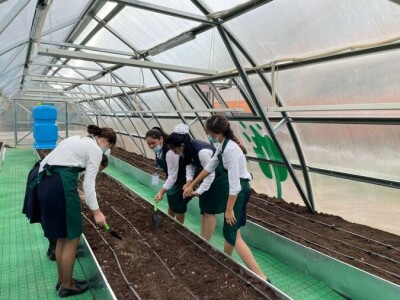 Алматылық оқушылар "Жасыл мектеп" жылыжайларында көкөніс егіп, оны өздері тұтынады