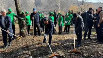 Алматы облысының тұрғындары бұлақ көздерін ашып, 300-ден астам көшет екті