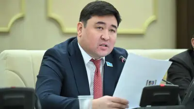 "Абыройды айрандай төгіп жүр". Депутат пранкшыл блогерлерді жауапқа тартуды сұрады