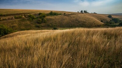 Ауыл шаруашылығы жерлерін сатуға мораторийді 2027 жылға дейін ұзартатын заң жобасы Мемлекет басшысына жолданды