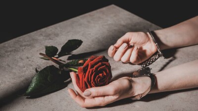 Садыр Жапаровтың "күйеу баласы" болғысы келген Сабырбеков жайлы жаңа деректер белгілі болды