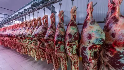 Қазақстан Кувейтке ет экспорттау жөнінде келісімге келді