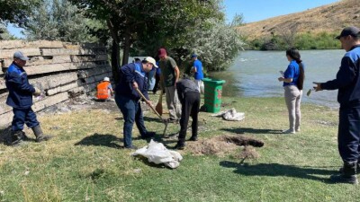 Жамбыл облысында нөсер жауында су басқан аулалар "Таза Қазақстан" акциясы аясында тазартылды