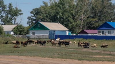 Ауылда жұмысшыларына арнап үй салған кәсіпкерлерге субсидия беру тәртібі әзірленді