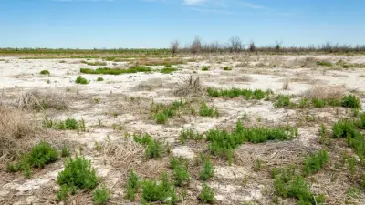 Қазақстанның жылынуы жаһандық көрсеткіштен асып түсті – Климат өзгерісі бойынша жобалық кеңсе
